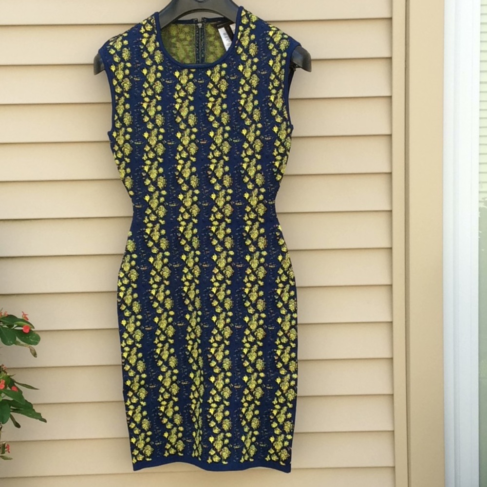 BCBG body-con dress